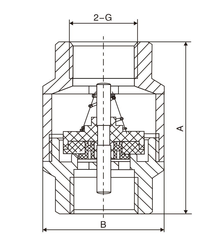 黃銅(tong)立式止(zhǐ)回閥(圖(tu)1)
