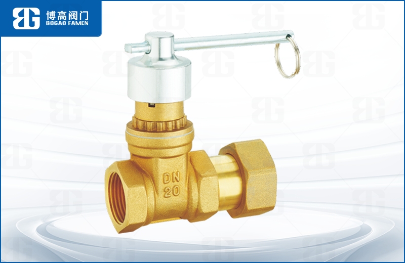 磁(ci)性鎖閉活接止(zhǐ)回閘閥