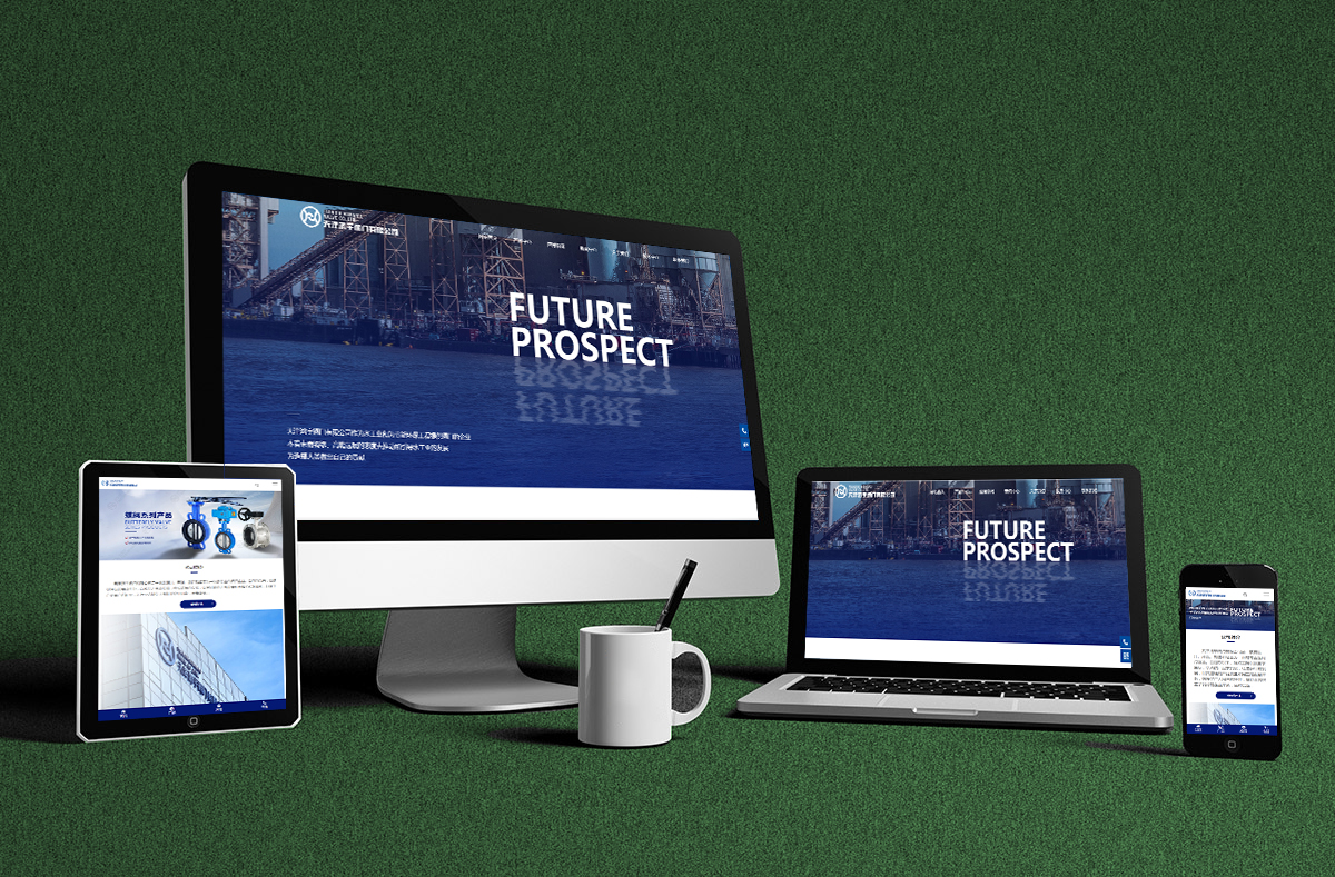 熱烈慶賀(hè)南京博高(gāo)閥門有限(xiàn)公司網站(zhan)正式開通(tōng)