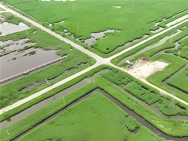 打(dǎ)造綠色低碳(tan)油田 做綠色(sè)發展的“頂梁(liang)柱”